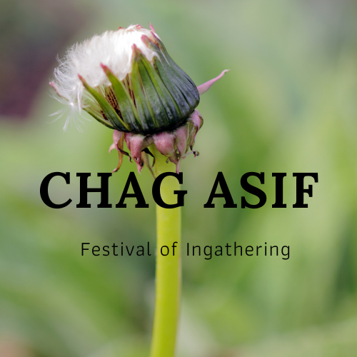 Chag Asif